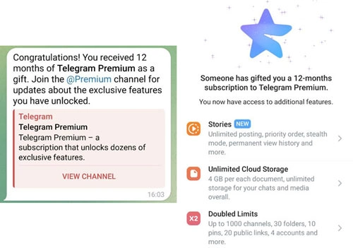 Buy Telegram premium gift