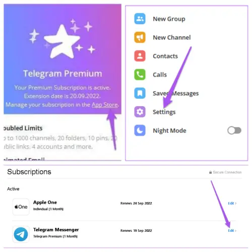Telegram premium cancel subscription in Windows