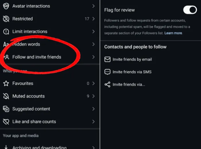 How to turn on the flag for review