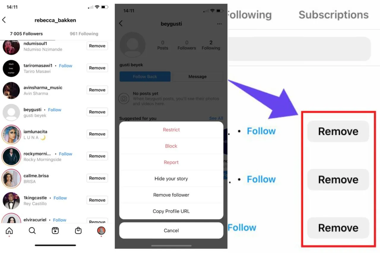 Remove Instagram followers manually